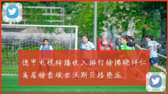德甲电视转播收入排行榜揭晓拜仁高居榜首埃尔沃斯贝格垫底